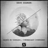 Dave Seaman - Dance in Tongues / Strobelight Symphony - Single